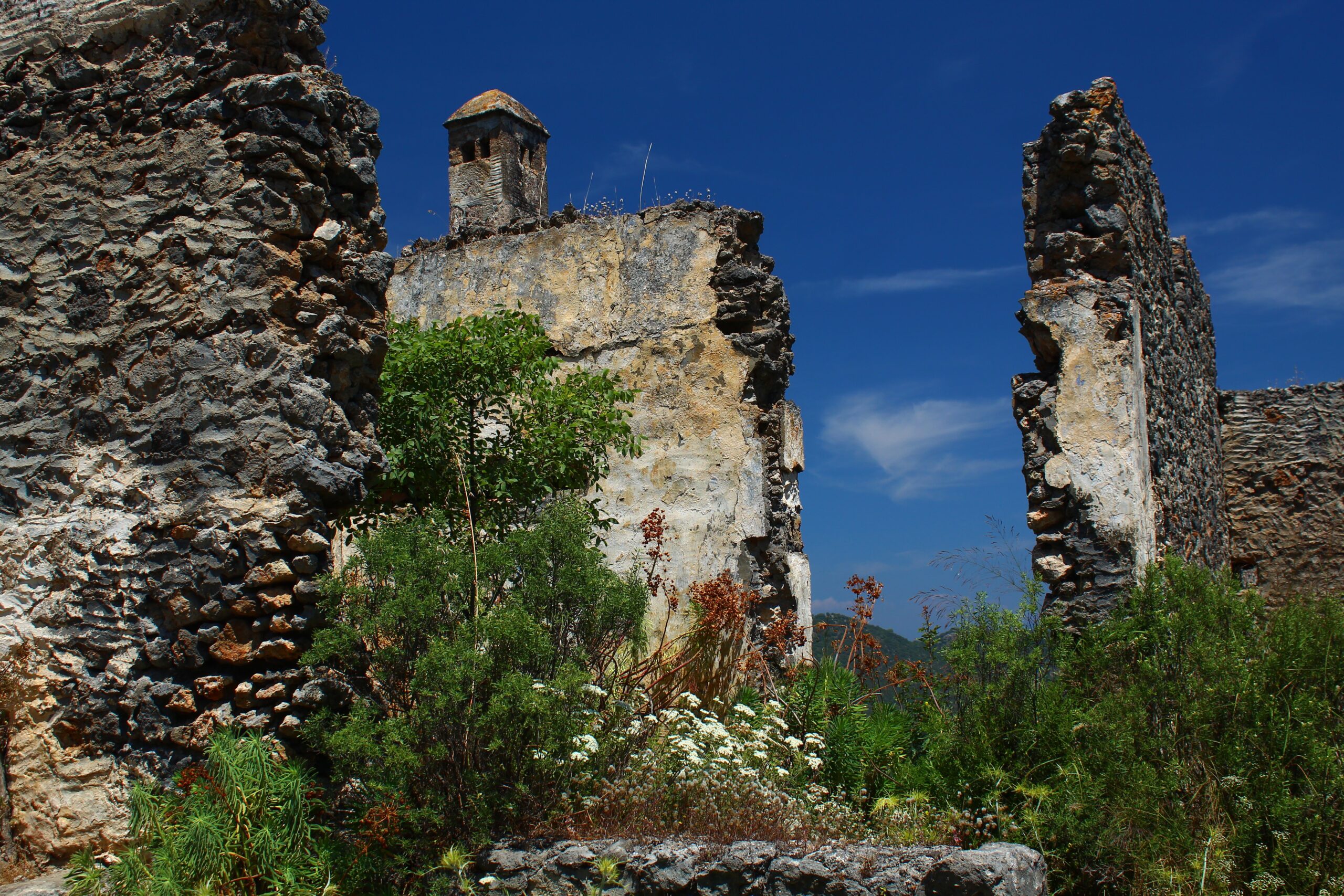overgrown stone wall of an ancient town