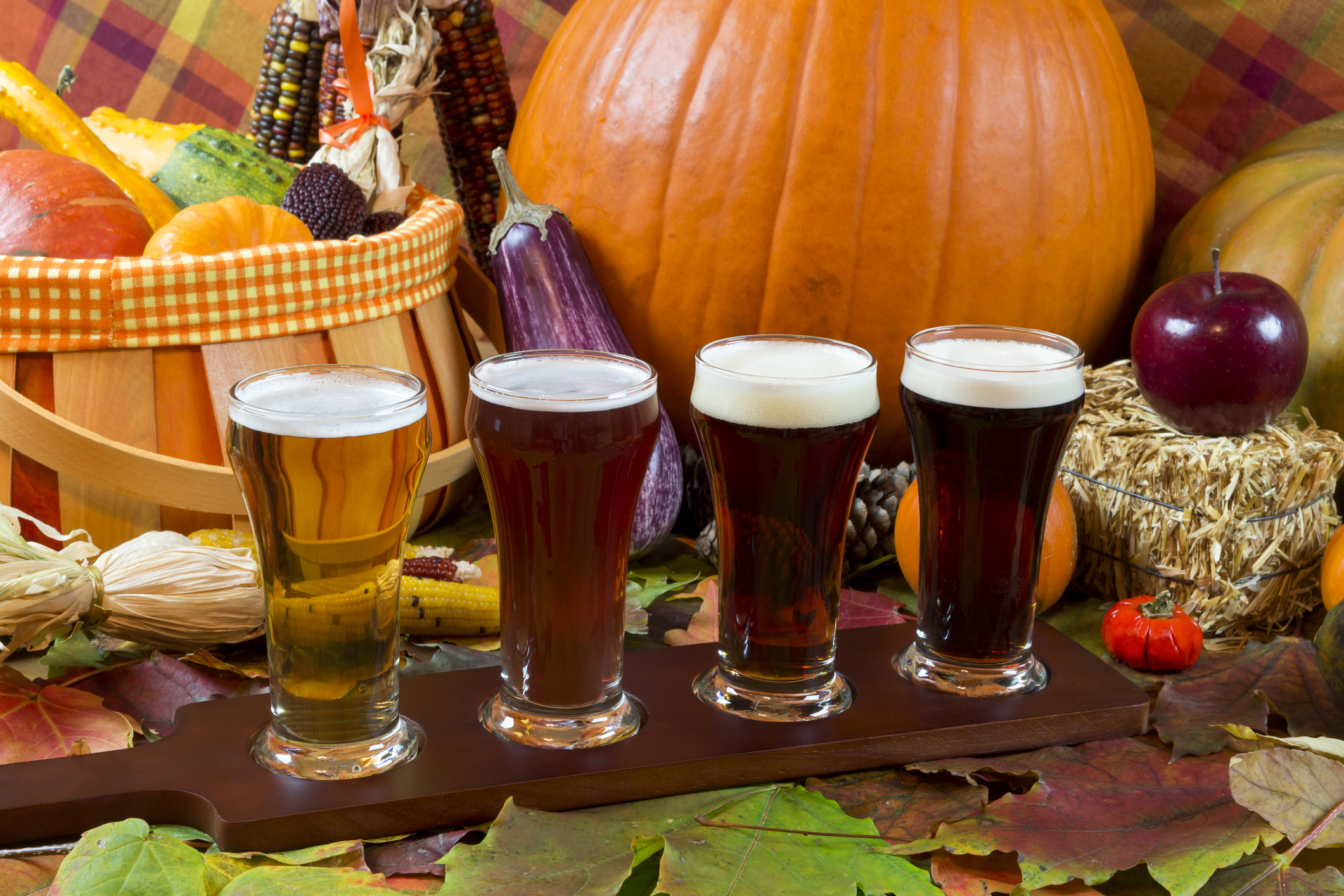 flight of four pumpkin beers in front of a pumpkin and fall seasonal decorations