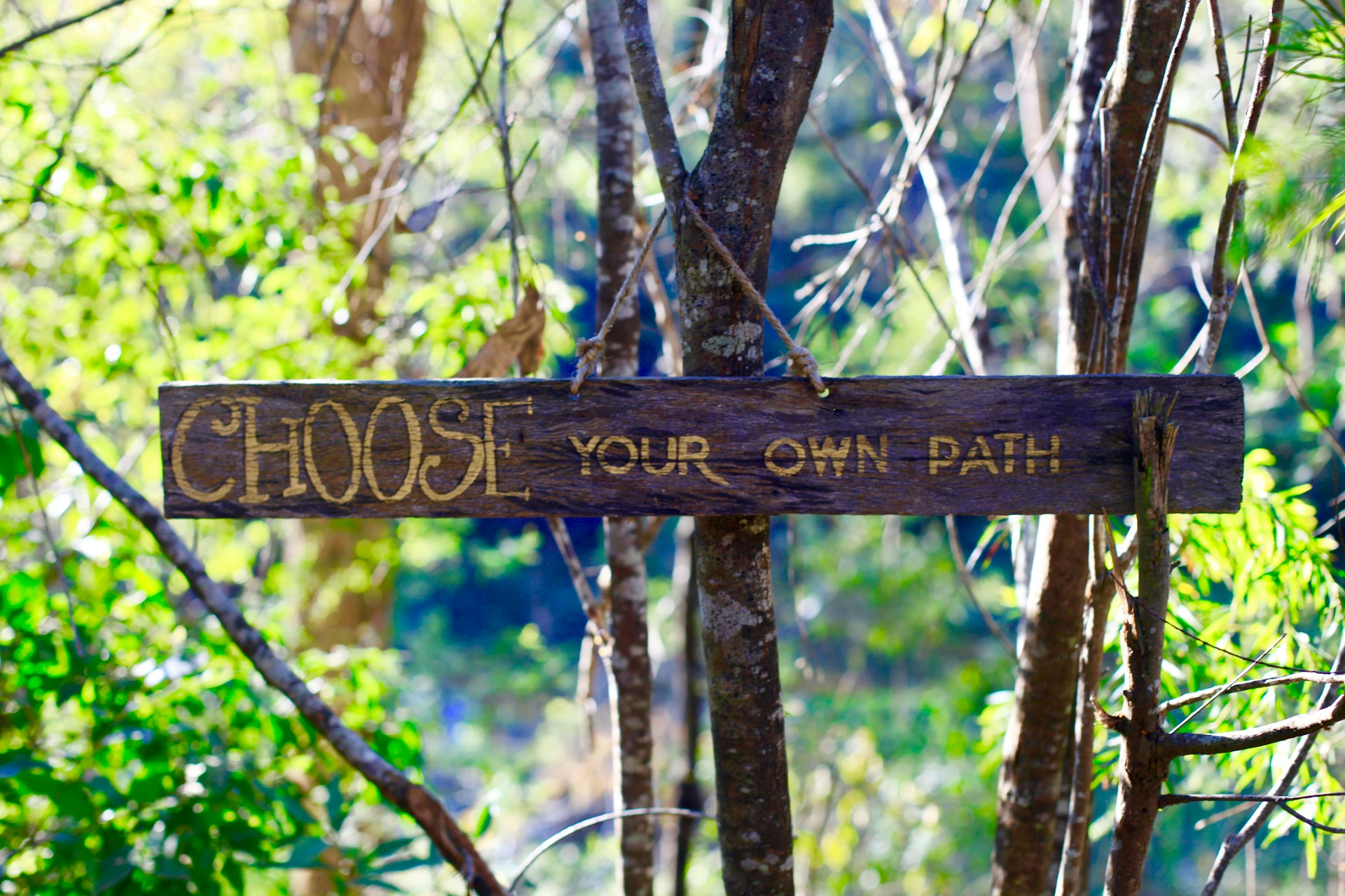 Choose Your Own Path sign in the woods