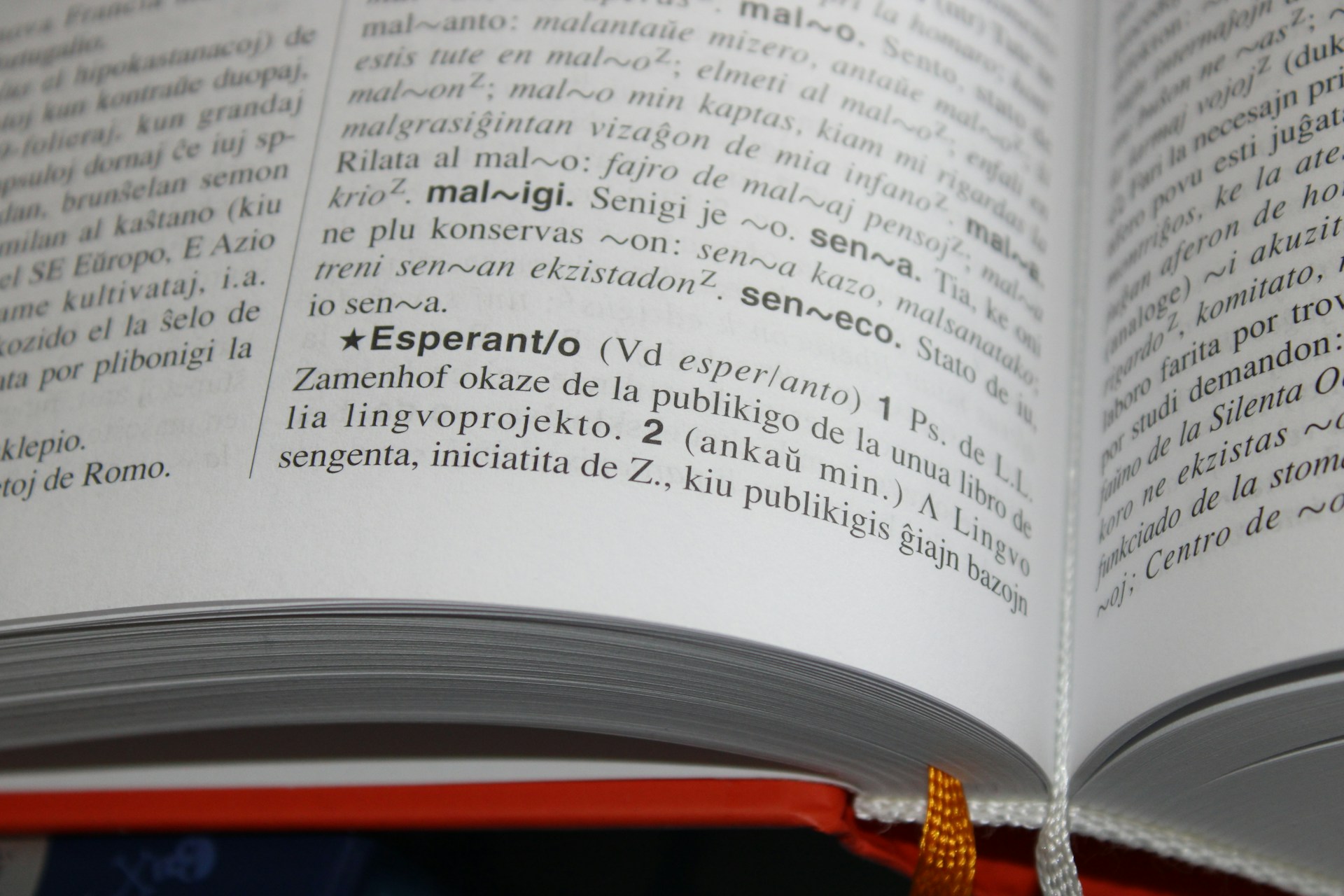 definition of Esperanto highlighted in a paper Esperanto dictionary