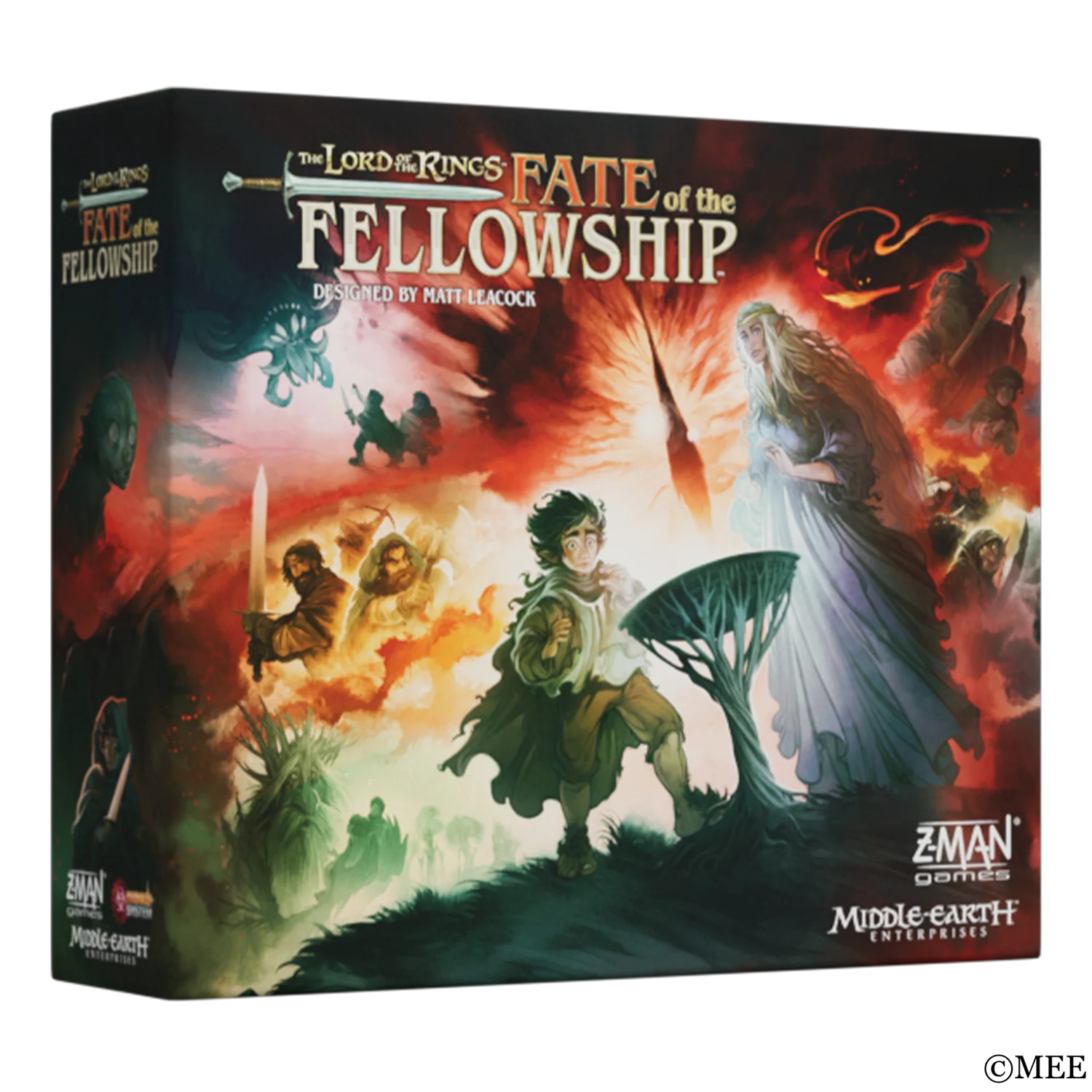 Fate-of-the-Fellowship_cover